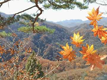 关于芜湖医院最新招聘信息与知柏地黄丸价格的深度解析