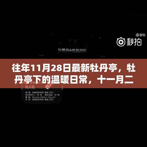 牡丹亭下的温暖日常,十一月二十八日的友情记忆