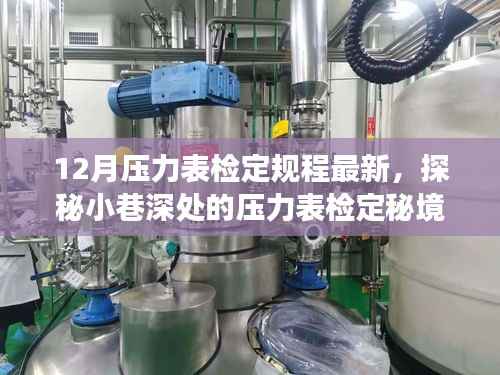 探秘深处,揭秘最新规程下的压力表检定秘境与独特小店故事