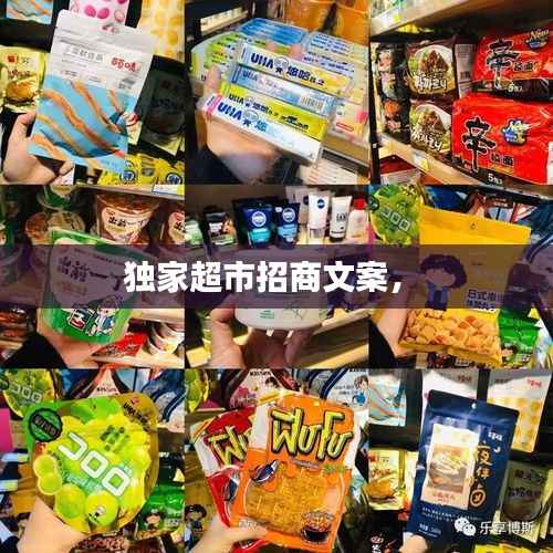 独家超市招商文案,