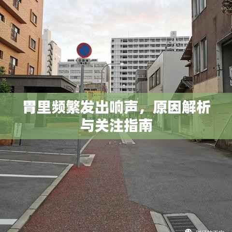 胃里频繁发出响声,原因解析与关注指南