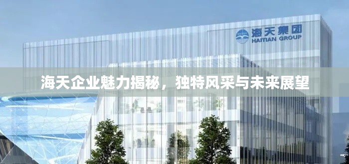 海天企业魅力揭秘,独特风采与未来展望