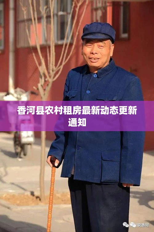 香河县农村租房最新动态更新通知